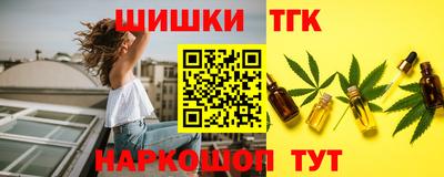индика Лесосибирск