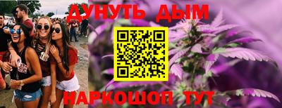 индика Лесосибирск