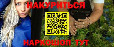 индика Лесосибирск