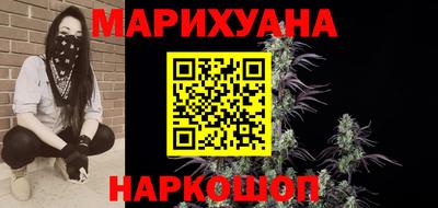 индика Лесосибирск