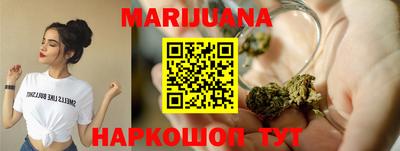 индика Лесосибирск