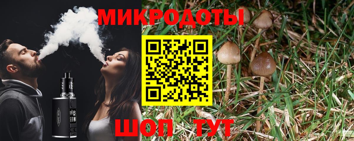Псилоцибиновые грибы Psilocybe Вятские Поляны